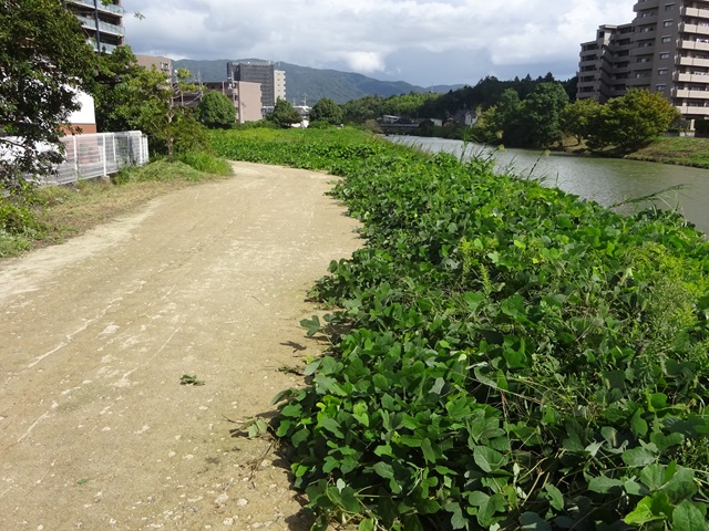 DSC00270.JPG