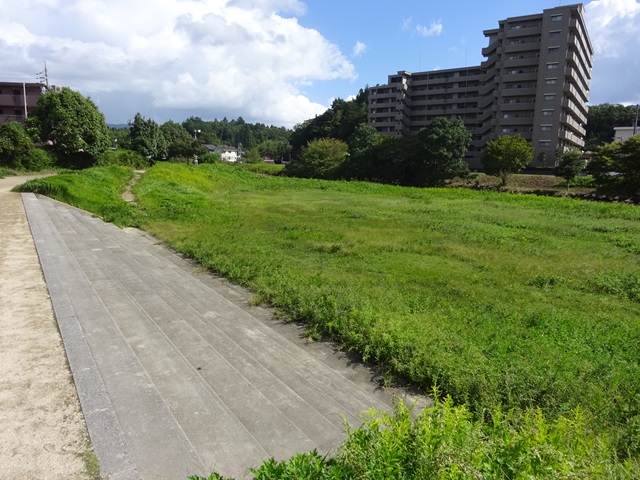 DSC00276.JPG