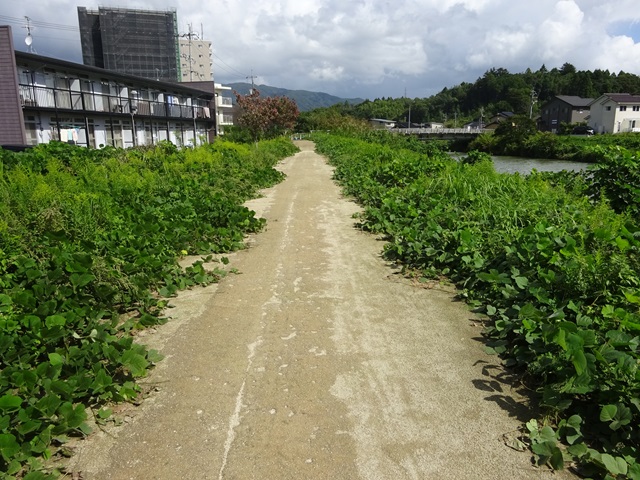 DSC00287.JPG
