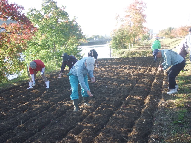 DSCF0672.JPG