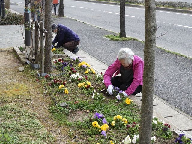 DSCN8409.JPG