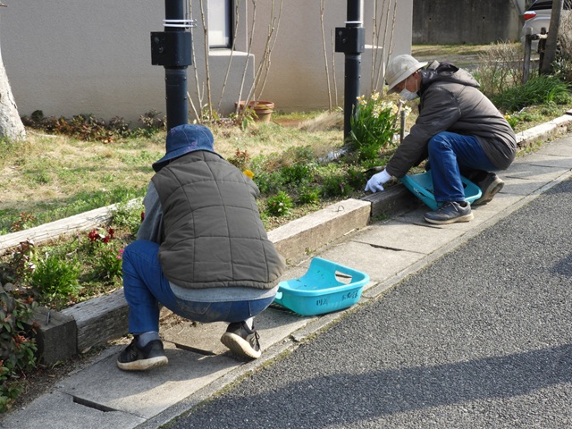 DSCN8411.JPG