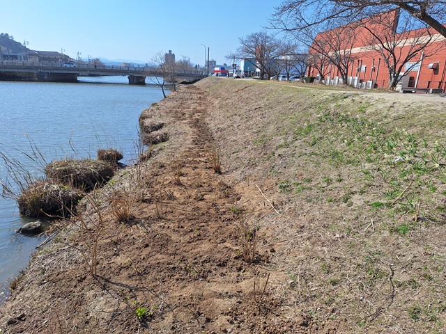 20250322_100552.jpg