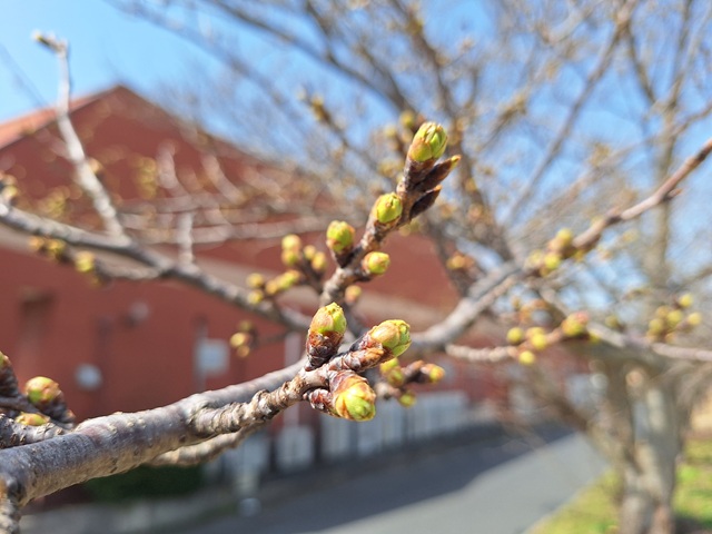 20250325_140521.jpg