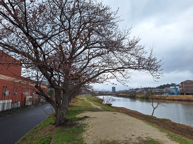 20250328_141829.jpg