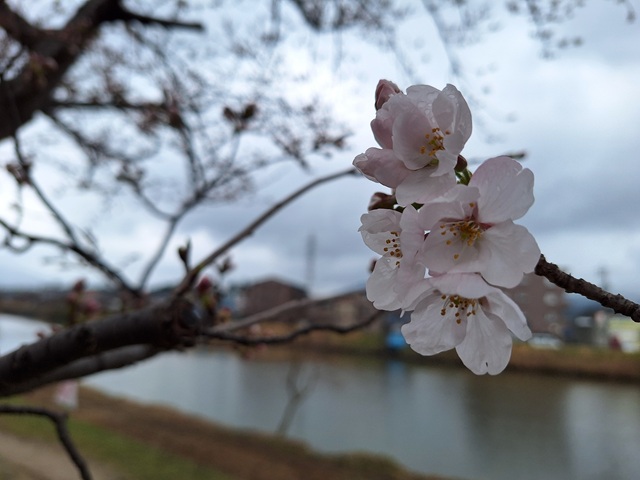 20250328_141931.jpg