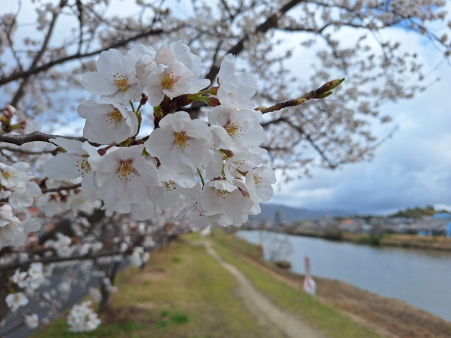 20250403_104004.jpg