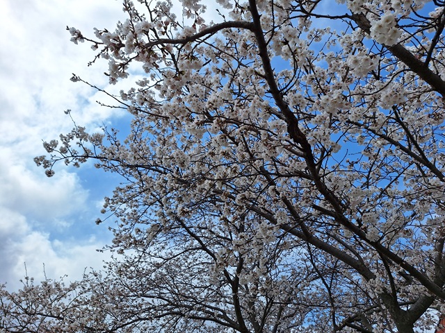 20250403_104059.jpg