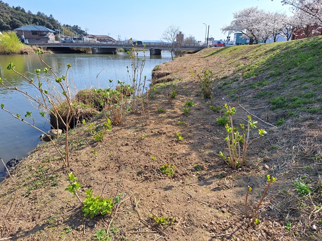20250407_145532.jpg