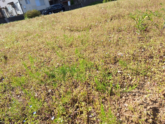 20250417_085159.jpg