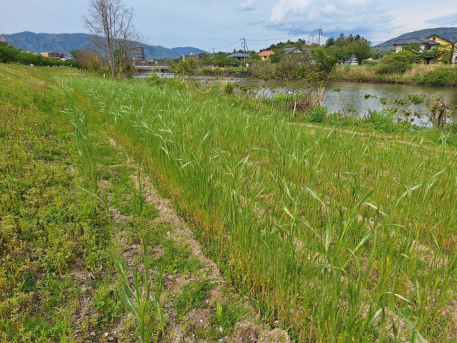 20250428_145604.jpg