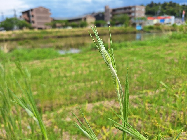 20250428_145620.jpg