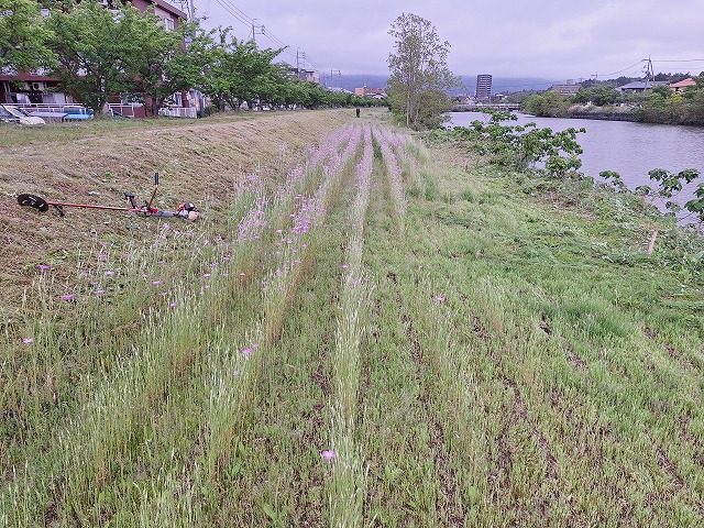 20250518_085819.jpg