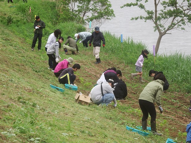 DSCF1240.jpg