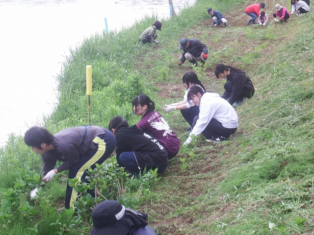DSCF1249.jpg