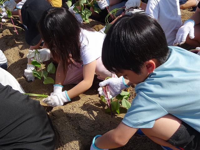 DSC00813.jpg