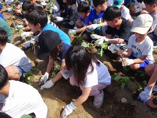DSC00816.jpg