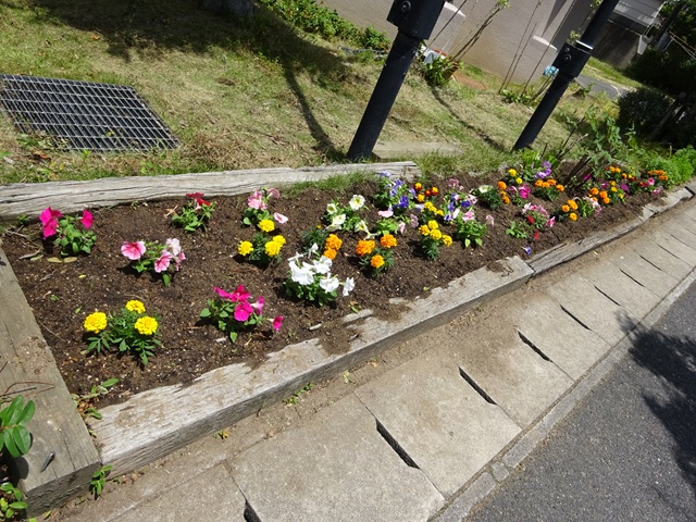DSC00840.JPG