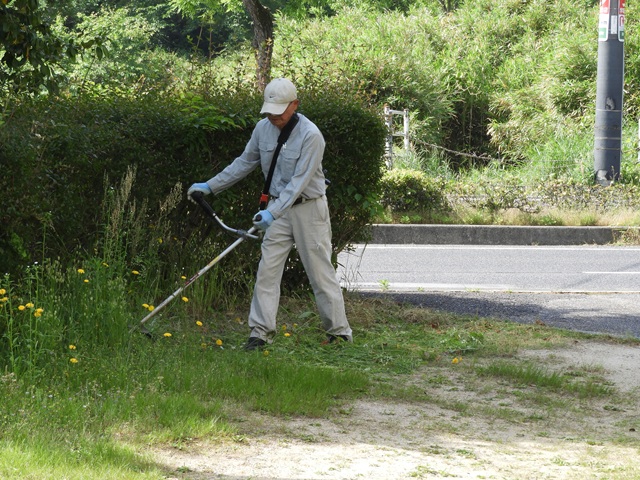 DSCN8626.JPG