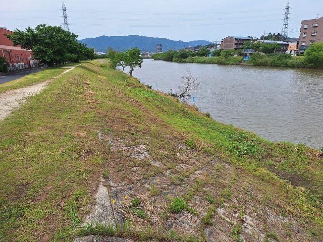 20250523_140250.jpg