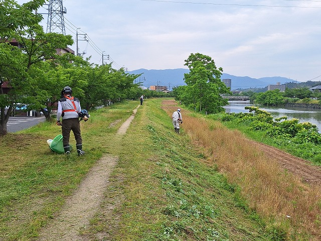 20250621_090542.jpg