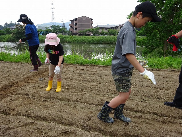 DSC00976.jpg