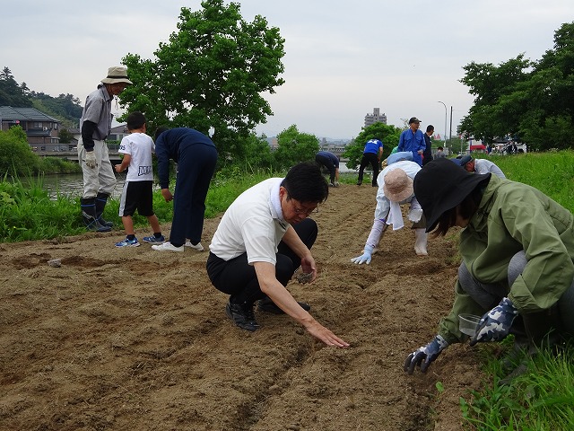 DSC00979.jpg