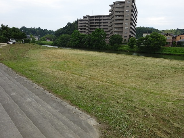 DSC00998.jpg