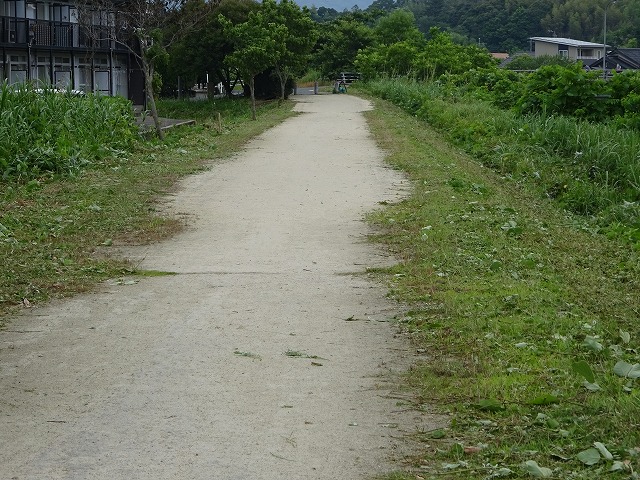 DSC01006.jpg
