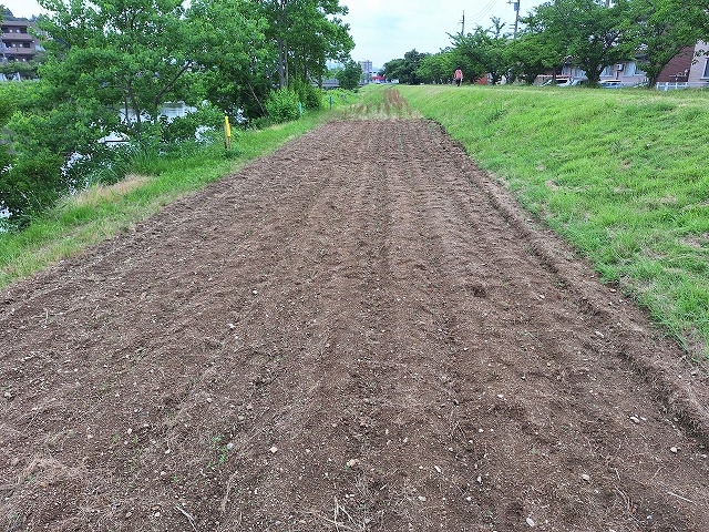 20250625_151354.jpg