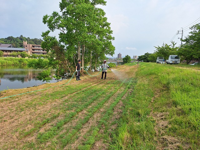 20250709_171055.jpg