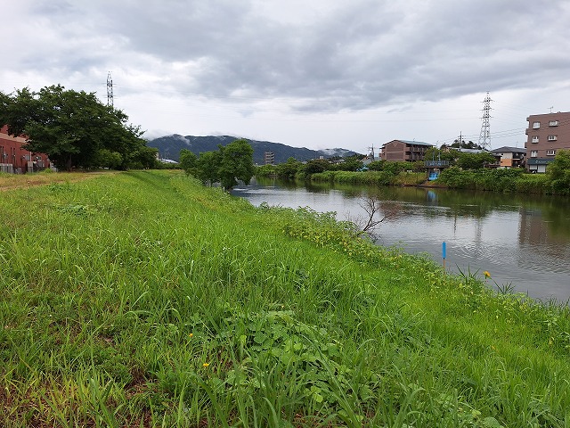 20250714_150417.jpg