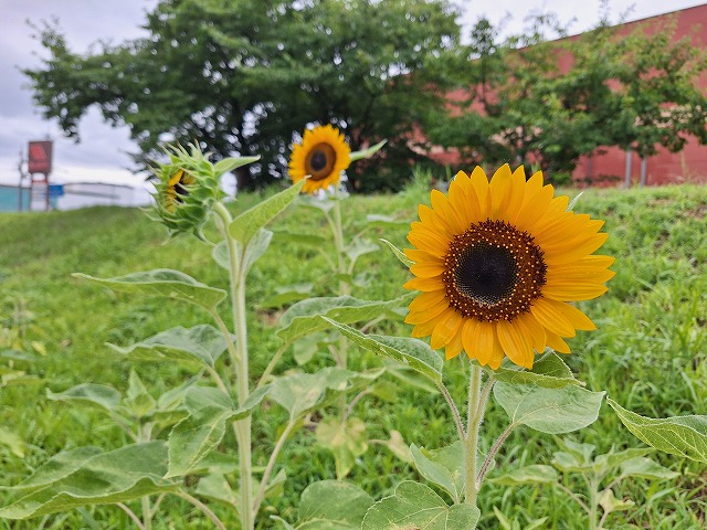 20250714_150531.jpg