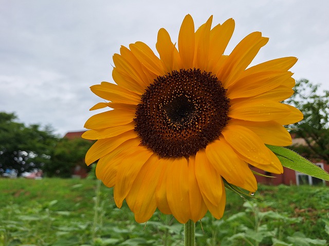 20250714_150631.jpg