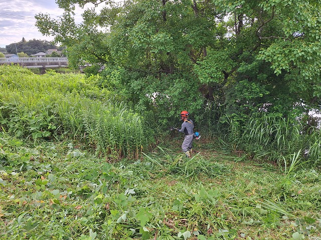 20250719_072635.jpg