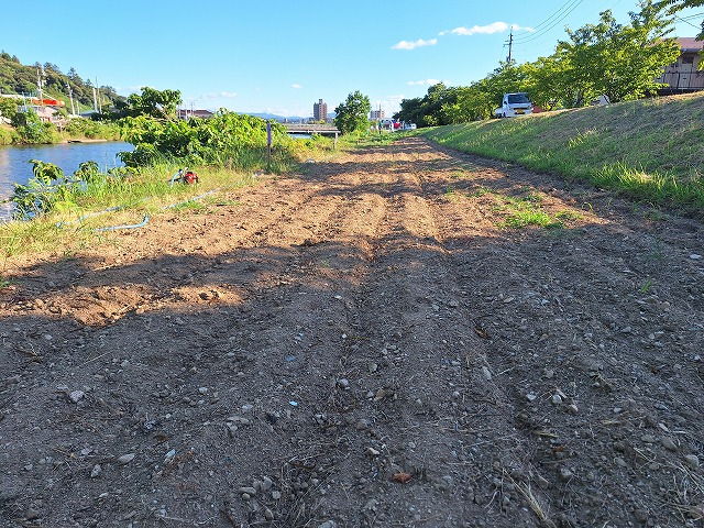 20250725_171549.jpg