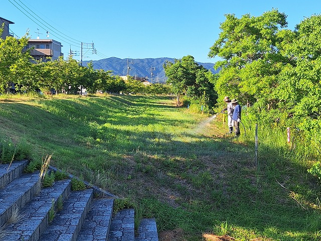 20250725_171648.jpg