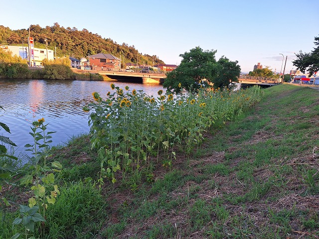 20250725_184701.jpg