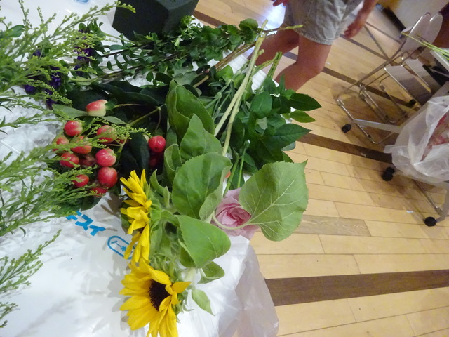 DSC01498.JPG