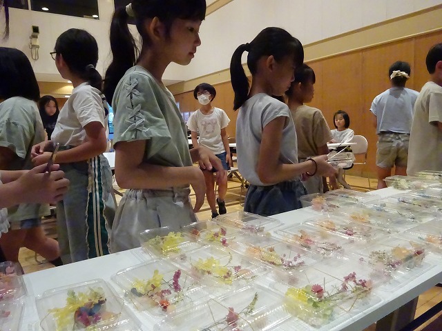 DSC01690.jpg