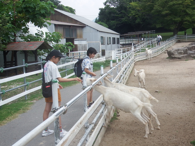 DSCF1319.JPG
