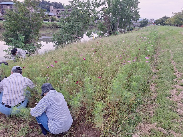 20250920_065613.jpg