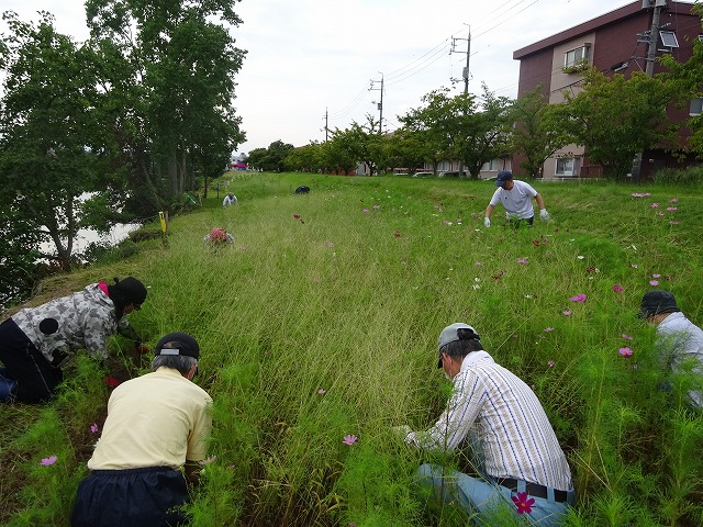 DSC02331.jpg