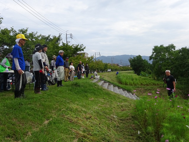 DSC02342.jpg
