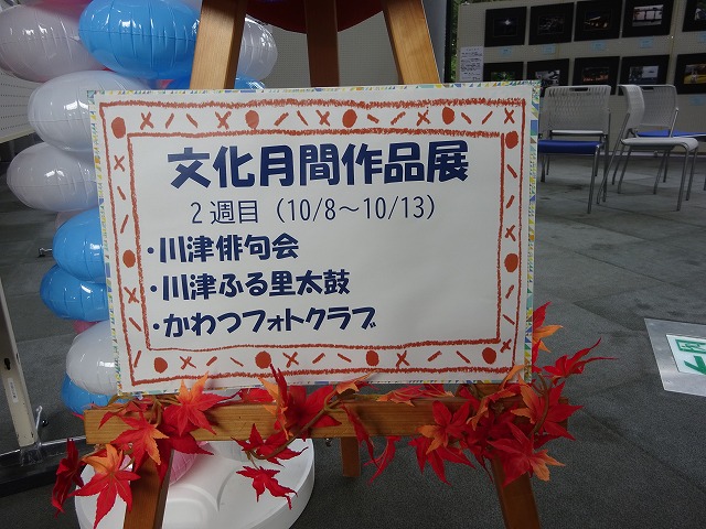 DSC02478.jpg