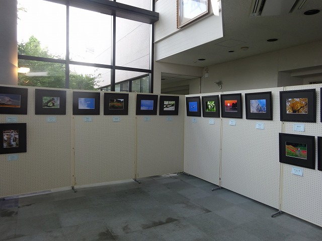 DSC02482.jpg