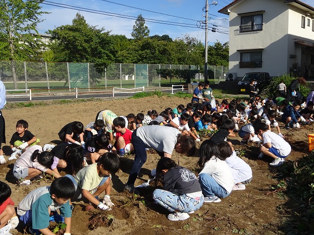 DSC02534.jpg