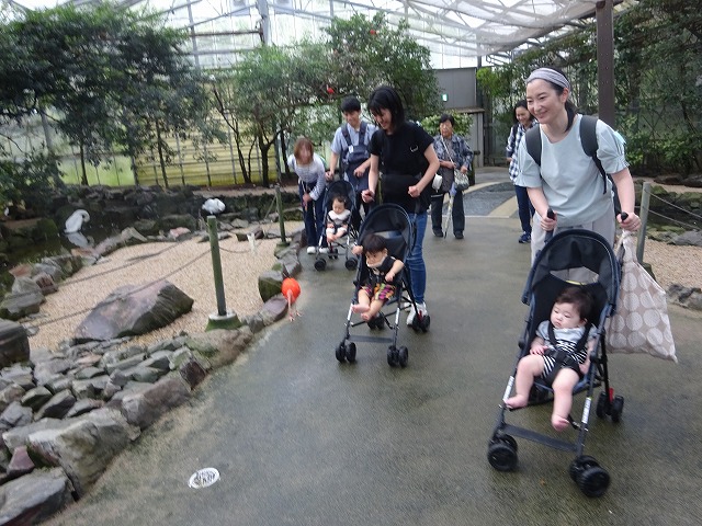 DSC02505.jpg