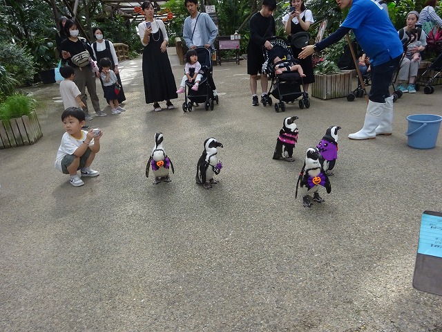 DSC02514.jpg