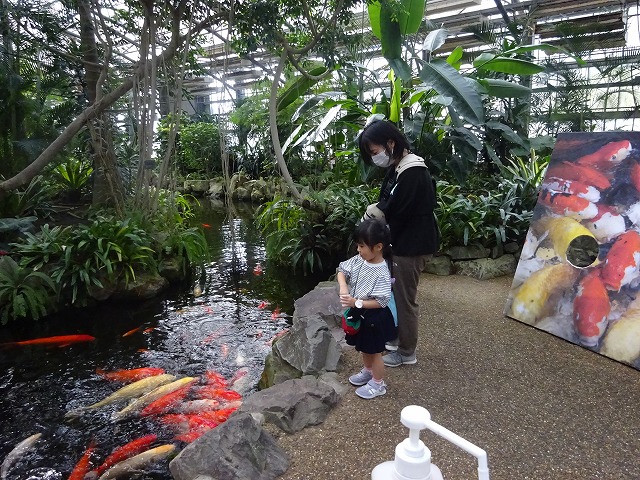 DSC02518.jpg